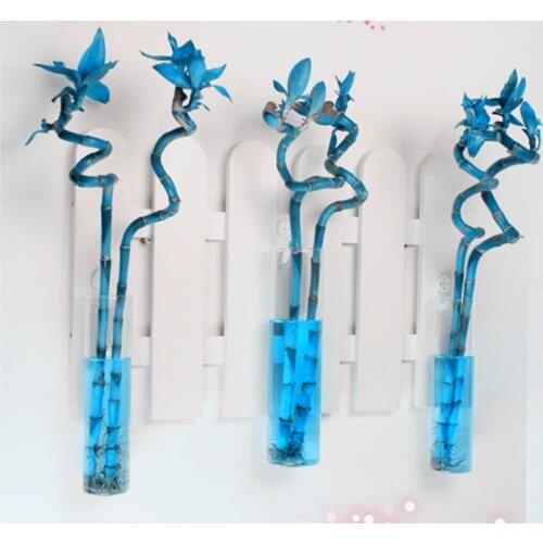 3pcs/set Cylinder Glass Vase Hanging Plant Pot Hydroponic Air Plant Flower Vase Fish Tank Home Decor