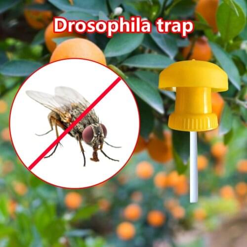 Pest Control Drosophila Catcher Fruit Fly Trap Killer Cover Insect Beverage Bottle Vegetable Simple Farm Home Garden