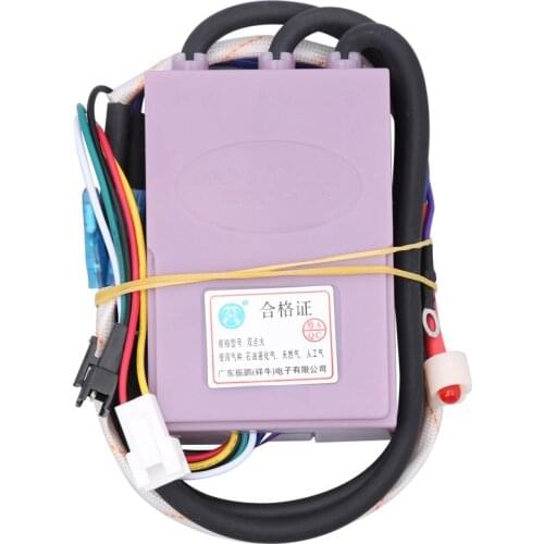 Applicable Gas Water Heater 3-wire Pulse Igniter Flue Double Ignition Controller Water Heater Accessories