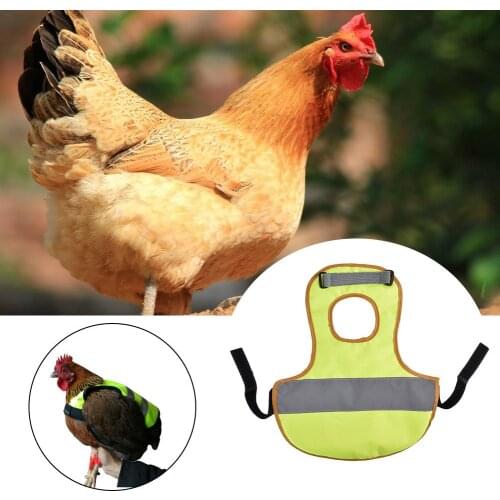 Adjustable Chicken Vest Pet Reflective Vest Chicken Clothes Poultry Hen Saddle Apron Feather Protection Holder For Chicken Duck