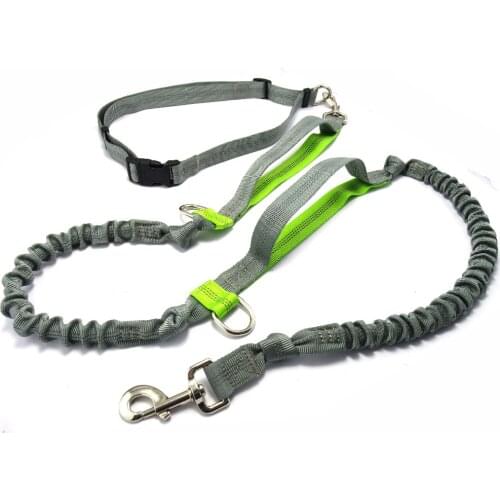 Bungee Dog Leash, Adjustable Dog Training Leash Quick Release Elastic Leads Rope with 2 Control Handles & 2 D-rings