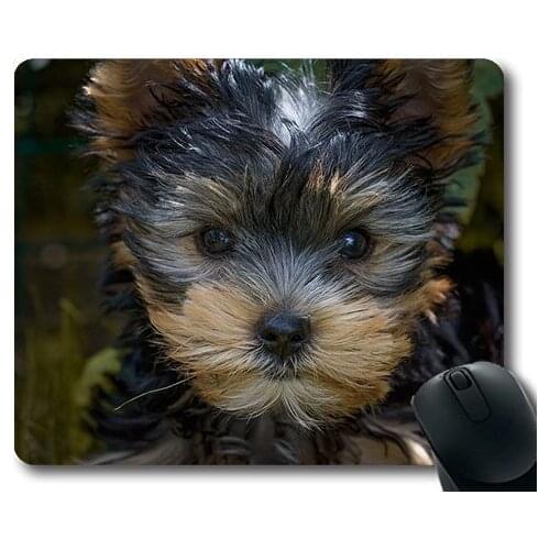 Dogs Galore Mouse Pad,Dog Puppy Yorkshire Terrier Yorkshire Terrier Puppy,dogs mouse mat