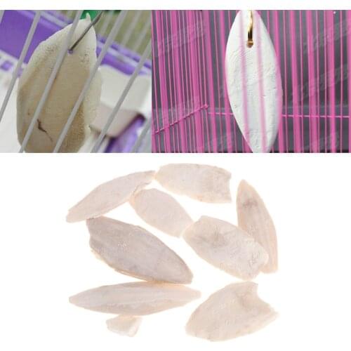 1 Bag(10g) Cuttlebone Cuttlefish Sepia Bone Cuttle Fish Bird Food Calcium Pickstone Pet