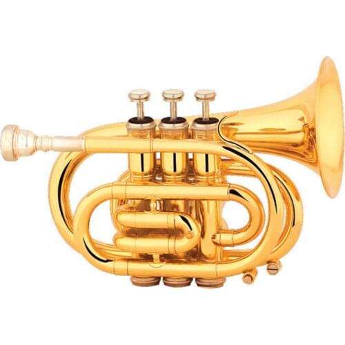 Gold lacquer Brass body Pocket Trumpet Tone Bb
