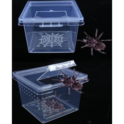 Reptile Feeding Box Cage Hatching Container Rearing Tank Clear Reptile Vivarium Terrarium Insect Rearing Box Food Feeding