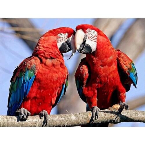 Parrot Bird Animal DIY 11CT Cross Stitch Embroidery Kits Needlework Craft Set Cotton Thread Printed Canvas Home Wholesale