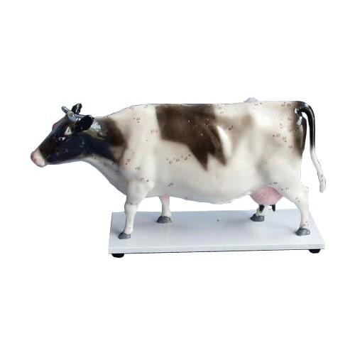 Cattle model mini milk cow acupuncture point model model animal Anatomical model free shipping