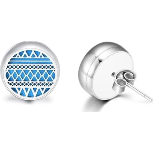 TE1 Stainless Steel Stud Earrings Multiple Styles For Women Men Fashion Hip Hop Ear Jewelry