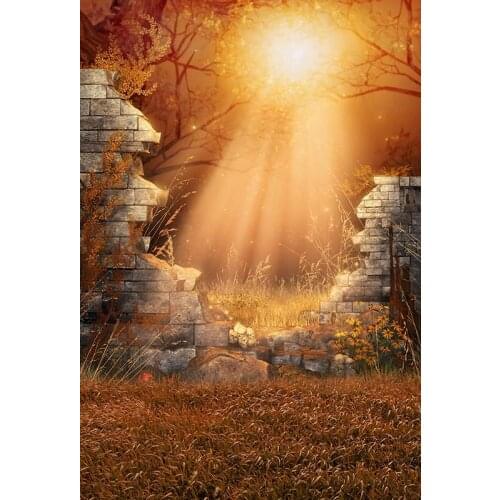 Halloween Backdrops for Kids Light Across Brick Wall Photophone Background Fond Studio for Portrait Foto Vinyl Photography