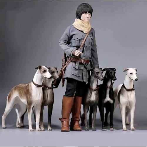 6 Colors Mr.Z 1/6 Scale No.14 Greyhound Animal Dog Model Toy for 12 inches Action Figure Accessories Collections