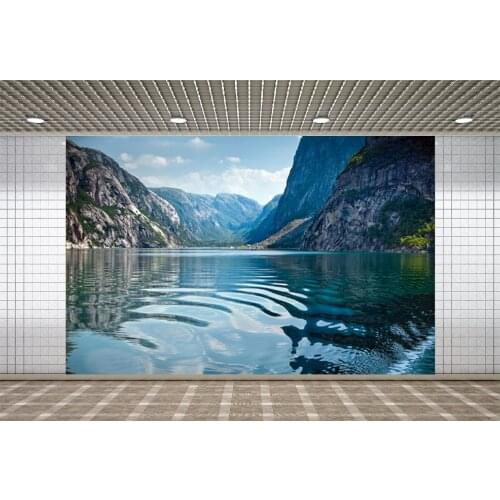 Lyavshi Natural Landscape At Photography Backgrounds Scenery Photographic Backdrops for Newborns Photocall Photo Studio Props