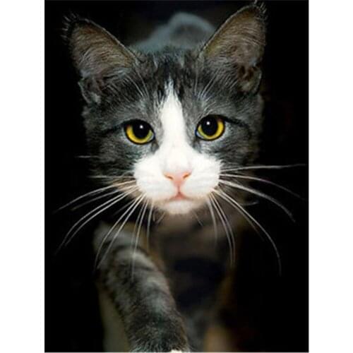 Animal Cat DIY Embroidery 11CT Cross Stitch Kits Craft Needlework Set Cotton Thread Printed Canvas Home Dropshipping