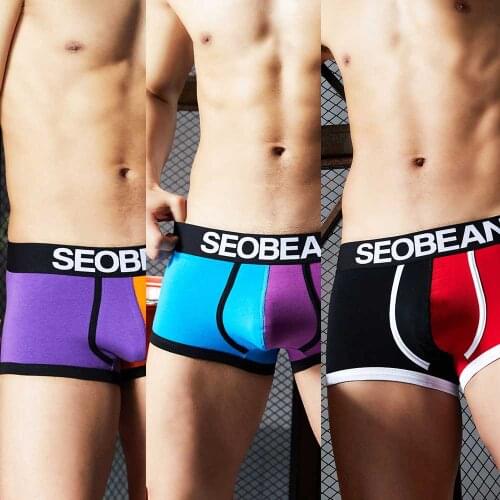 Whole Sale New Cotton mans underwear Fashion short pants boxer trunks sexy tight Sexy for male low rise boy men underpants pack