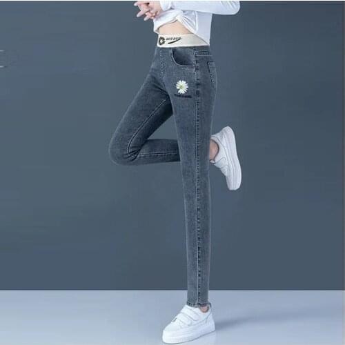 Herfst Stretch Skinny Vrouwen Jeans Hoge Taille Elastische Taille Slanke Potlood Broek Dames Borduren Pull Up Cowboy Broek Leggi