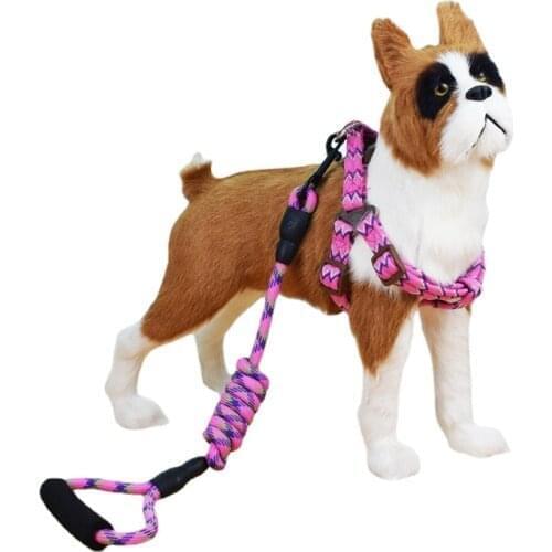 Adjustable Dog Harness and Leash Set Personalised Dog Collar Dog Leash Pet Accessories