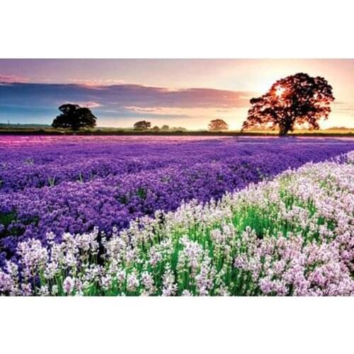 1000 Pieces Adults Paper Jigsaw Puzzles Lavender Assembling Picture for Bedroom Decoration Stickers 75 X 50cm