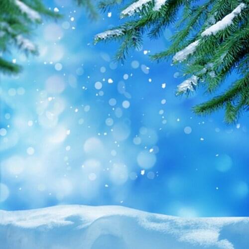 Green Pine Branch Snow Floor Winter Morning Christmas Photography Backdrops Blue Sky Photographic Background 150cm*200cm