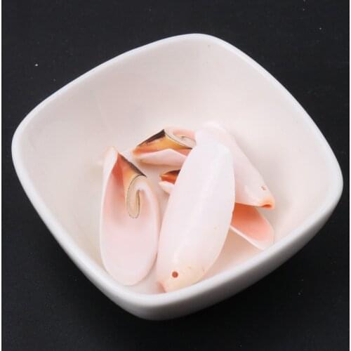 5pcs Natural Shell Beads Spiral Bead for Women jewelry Bracelet Necklace Earring Making DIY Gift for Friends TRS0214X