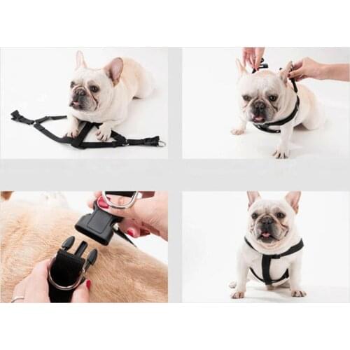 Dog leash Dog Chest Strap Comfortable Portable Polyester 120cm Small Medium Pet Puppy Harness for Outdoor