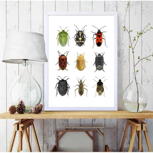 Insects of the Order Hemiptera Poster Prints Nature Biological Wall Decor Bug Species of Mediterranean Region Canvas Painting