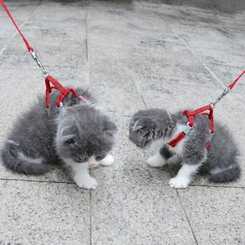 Star Printing Pet Adjustable Nylon Harness for Small Dogs Small Cats Tractions Dog Kitten Accessories For Pets Less Than 3 kgs