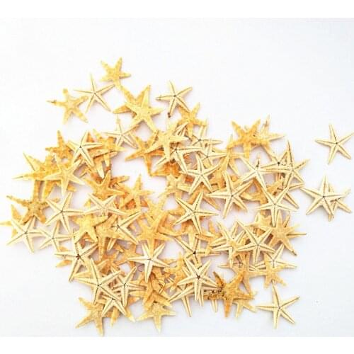 100pcs natural sea star Small Starfish Star Sea Shell Beach Craft 1.8-3cm
