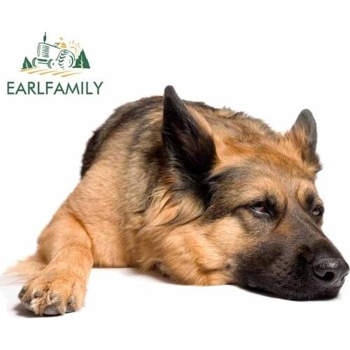 EARLFAMILY 13cm x 8.7cm for Previcox Safe for Dogs Funny JDM Car Stickers SUV Accessories DIY Animals Decal Suitable for VAN RV