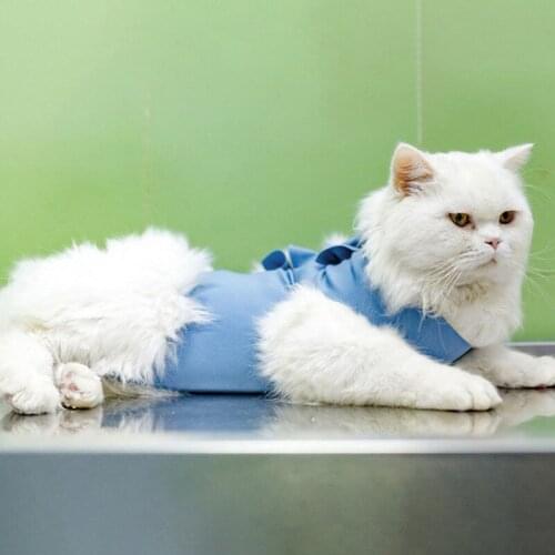 Pet Cat Recovery Suit After Surgery Elastic Professional Surgical Bandage Shirt Costume Soft Pet Puppy Kitten Care Supplies