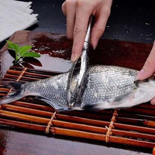 Varied Stainless Steel Fish Skin Scraper Brush Fishing Knife Cleaning Tools Kitchen Seafood Scaler Cleaning Tools