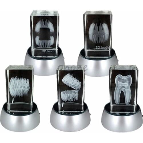 1pcs Dental Artware Teeth Model Dentist Crystal Model Creative Gifts Handicraft Article