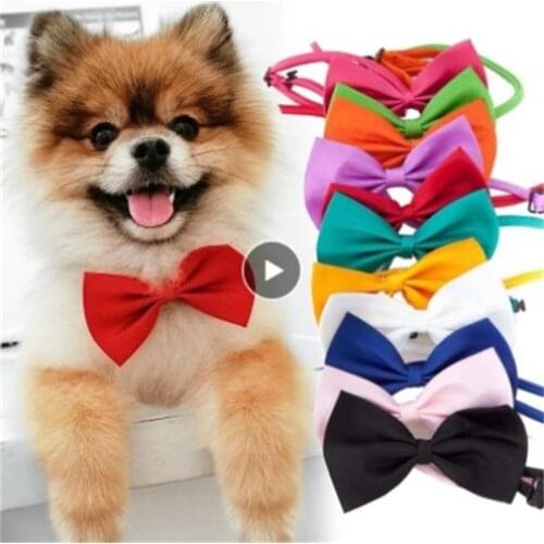 Pet Dog Cat Bow Tie Adjustable Strap For Cat Collar Dogs Accessories Pet Dog Bow Tie Puppy Necklace Dog Pet Supplies Pet Product