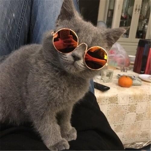 Pet Glasses for Cats Sunglasses Products for Cats Accessories for Photo Accessories So PetsCat Supplies Home Garden