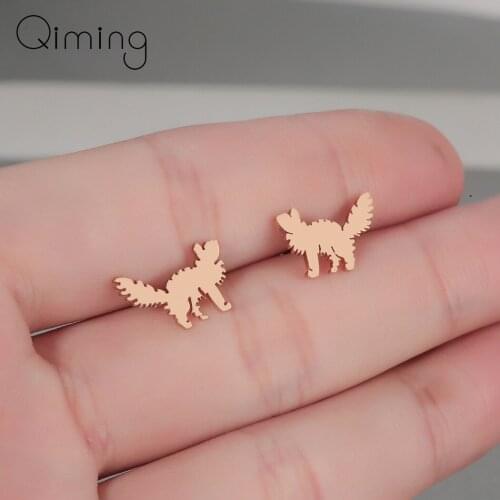 Anime Animal Angry Cat Stud Earrings For Women Cute Cats Earings Gold Silver Boucle D'oreille Everyday Jewelry