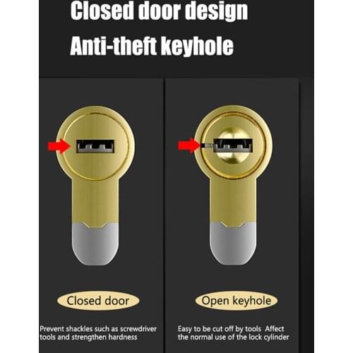Door Lock Brass Cylinder Single Open Sided Blade Break Anti Pry Stainless Steel Bar Brass Snake Groove Cylinder Color 8 Keys
