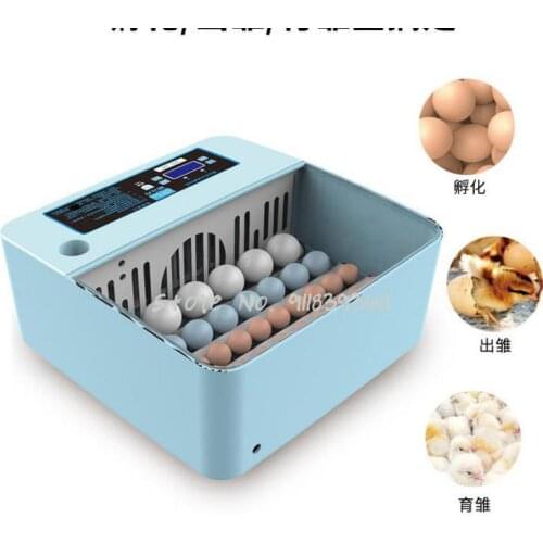 Incubator Small Household Incubator Automatic Intelligent Water Bed Incubator Automatic Household Mini Children