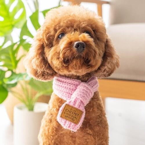Winter Keep Warm Dog Accessories For Small Dog Good Quality Pet Cat Grooming For Bichon Shih Tzu Pugs Small Medium Supplies Shop
