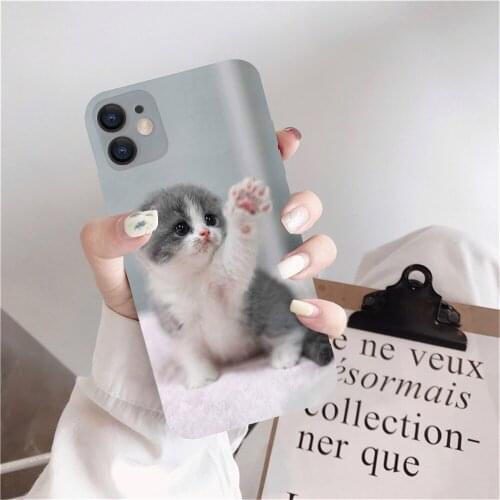 Case For Samsung Galaxy S21 Plus S20 FE Ultra S10 S9 S8 S7 Edge S10E Note 20 10 Lite Cute Cat Pattern Soft Silicone Back Cover