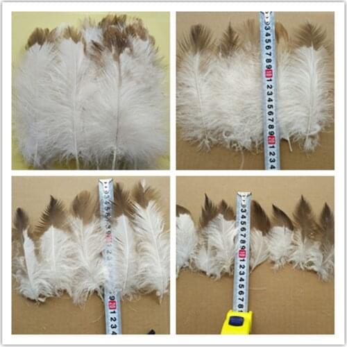 Rare fluffy eagle feathers 10pcs long 4-10 inches in a variety of sizes with beautiful velvet feather trim