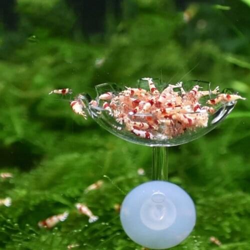 Aquarium Clear Acrylic Flower Shape Shrimp Feeding Feeder Dish Food Basin with Suction Cup