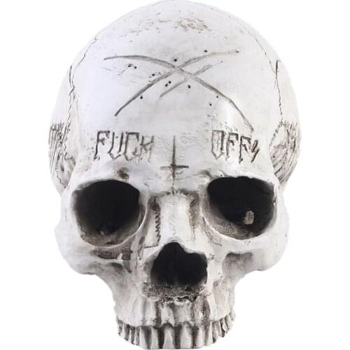 MRZOOT 1:1 Human Head Model High-precision Teaching Equipment Resin Skull Personality Ornaments Halloween Gift