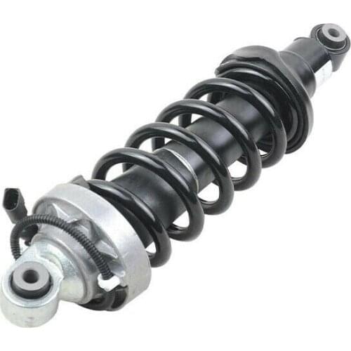 Front Left / Right Suspension Shock Absorber For Audi R8 2007-2015,R8 Spyder 2011-2015 420412019AH 420412020AH