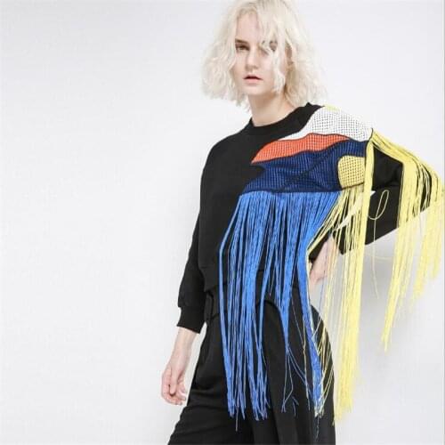 Women Sweatshirt 2018 Fall Fashion Luxury Rainbow Tassel Patchwork Chic Mesh Velvet Thick Sweatshirt Punk Round Neck Hoodies