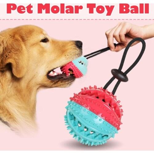 Pet Dog Toy Rubber Ball Grind Clean Teeth Molar Bite Resistant Leakage Food Ball