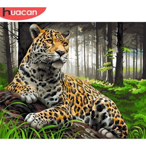 HUACAN DIY Pictures By Number Kits Home Decor Painting By Numbers Leopard Animal Drawing On Canvas HandPainted Art Gift