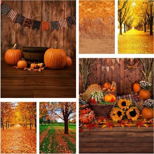 Avezano Halloween Photography Background Farm Pumpkin Harvest Forest Tree Fallen Leaves Baby Child Portrait Backdrop Photo Props
