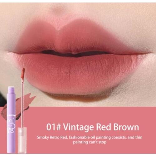 Cloud Continuous Lip Glaze Matte Velvet Fog Face Lip Mud Light Smooth And Good Coloring Lipstick Makeup TSLM1