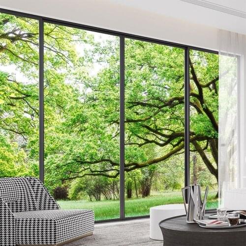 Chinese glass film glass window self-adhesive paper wardrobe door sliding door sticker bathroom sliding door film wood