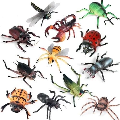 Simulation Static Animal Model Children Cognitive Tricky Toys Large Bee Spider Scorpion Grasshopper Insect Decoration