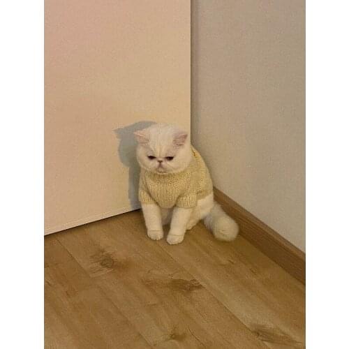 New Year Autumn Winter Sweater Warm Dog Cat Clothes Kitten Clothes Cute Vest Cute Cat Suit Teddy Dogs