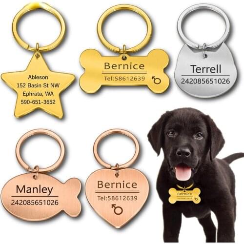 Personalized Cat Dog Pet ID Tag Keychain Engraved Pet ID Name for Cat Puppy Dog Collar Tag Pendant Keyring Bone Pet Accessories